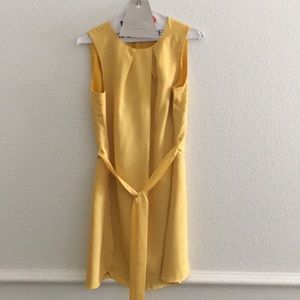Ann Taylor sleeveless dress with tulip hem.